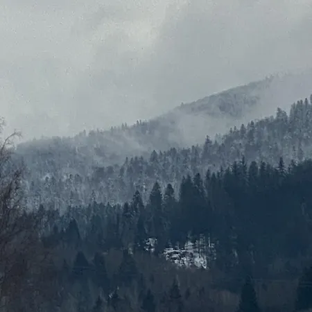 Maison Capdet Hotel 3*