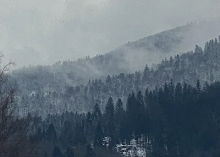 Maison Capdet Hotel 3*